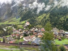 IMG_2494