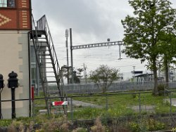 018_IMG_0867