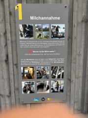 IMG_6430