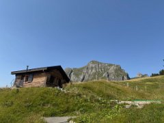 IMG_1962