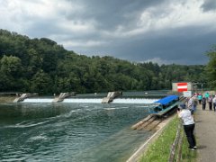 IMG_5993